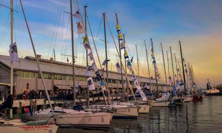 ನೀಲಿ ಕಡಲು, ಬೆಳ್ಳಿ ಚುಕ್ಕಿ ಮತ್ತು ಸಿಡ್ನಿ ಹಾಯಿದೋಣಿ ಸ್ಪರ್ಧೆ: ವಿನತೆ ಶರ್ಮಾ ಅಂಕಣ