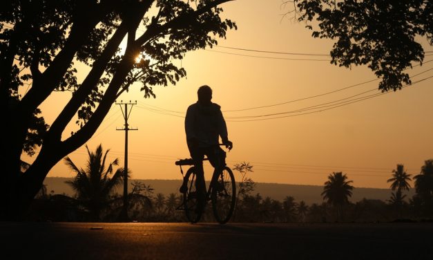 ಕೃಷ್ಣ ದೇವಾಂಗಮಠ ತೆಗೆದ ಈ ದಿನದ ಚಿತ್ರ