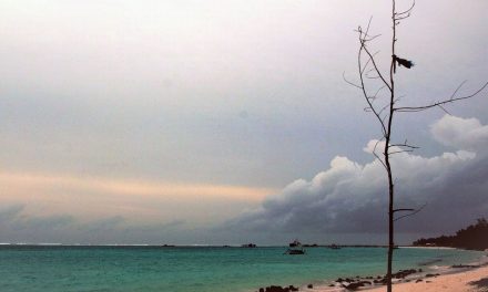 ಸೈಕಲ್ಲು ಗಾಲಿಗಳಂತೆ ಚಲಿಸುತ್ತಿರುವ ನಿರಾಯಾಸ ಬದುಕು: ಅಬ್ದುಲ್ ರಶೀದ್ ಬರೆಯುವ ಲಕ್ಷದ್ವೀಪ ಡೈರಿ