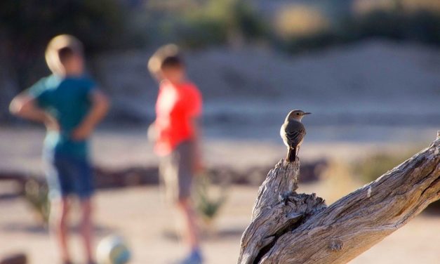 ಮತ್ತೆ ಮತ್ತೆ ನೆನೆಯುವುದೂ ಸುಖವೇ…: ಆಶಾ ಜಗದೀಶ್ ಅಂಕಣ