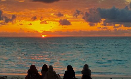 ಸಣ್ಣದೊಂದು ವಿರಾಮದಲ್ಲಿ ಕೆಲವು ಅರೆಬರೆ ಖಾಸಗಿ ಸಂಗತಿಗಳು: ಅಬ್ದುಲ್ ರಶೀದ್ ಬರೆಯುವ ಲಕ್ಷದ್ವೀಪ ಡೈರಿ