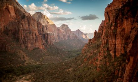 ಜ಼ಾಯನ್ ನಲ್ಲಿ ಜ಼ೆನ್ ಕ್ಷಣಗಳು: ವಲಸೆ ಹಕ್ಕಿ ಬರೆದ ಪ್ರವಾಸ ಕಥನ