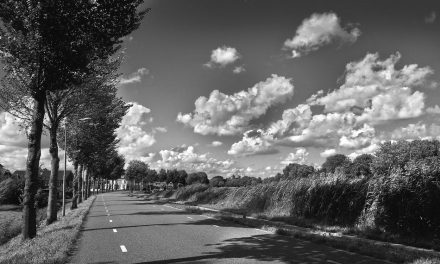 ಮಂಜುಳ ಡಿ. ಬರೆದ ಈ ದಿನದ ಕವಿತೆ