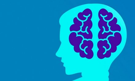 ಮಾನವನ ಮಿದುಳು ಮತ್ತು ನಡವಳಿಕೆಗಳು: ಶೇಷಾದ್ರಿ ಗಂಜೂರು ಅಂಕಣ