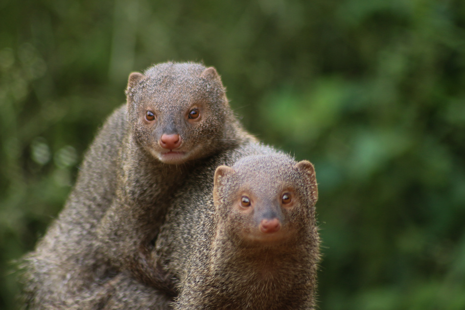 ಕೃಷ್ಣ ದೇವಾಂಗಮಠ ತೆಗೆದ ಈ ದಿನದ ಚಿತ್ರ