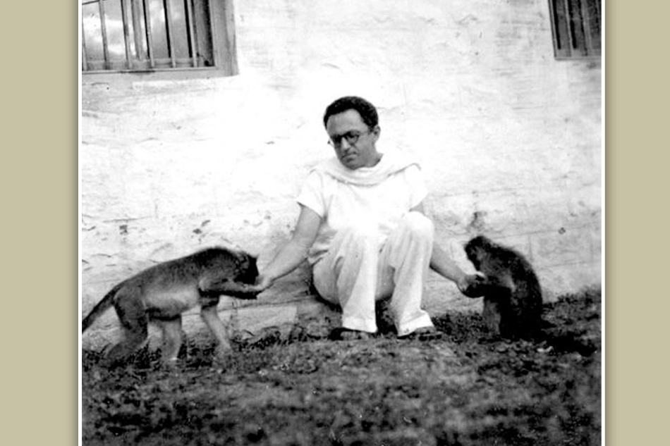 ಆಧ್ಯಾತ್ಮಿಕ ಕ್ಷೇತ್ರದ ಫಾರೆಸ್ಟ್ ಗಂಪ್ ಮಾರಿಸ್ ಫ್ರೀಡ್ಮನ್: ವಲಸೆ ಹಕ್ಕಿ ಬರೆದ ಲೇಖನ