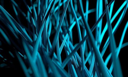 ನ್ಯೂರಾನ್‌ ಗಳ ಸುಳಿಯಲ್ಲಿ ನೆನಪಿನ ಕೊಂಡಿ…: ಶೇಷಾದ್ರಿ ಗಂಜೂರು ಅಂಕಣ