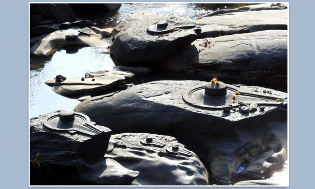 ಶಾಲ್ಮಲಿಯ ಸಹಸ್ರಲಿಂಗ: ಟಿ.ಎಸ್. ಗೋಪಾಲ್ ಬರೆಯುವ ದೇಗುಲಗಳ ಸರಣಿ