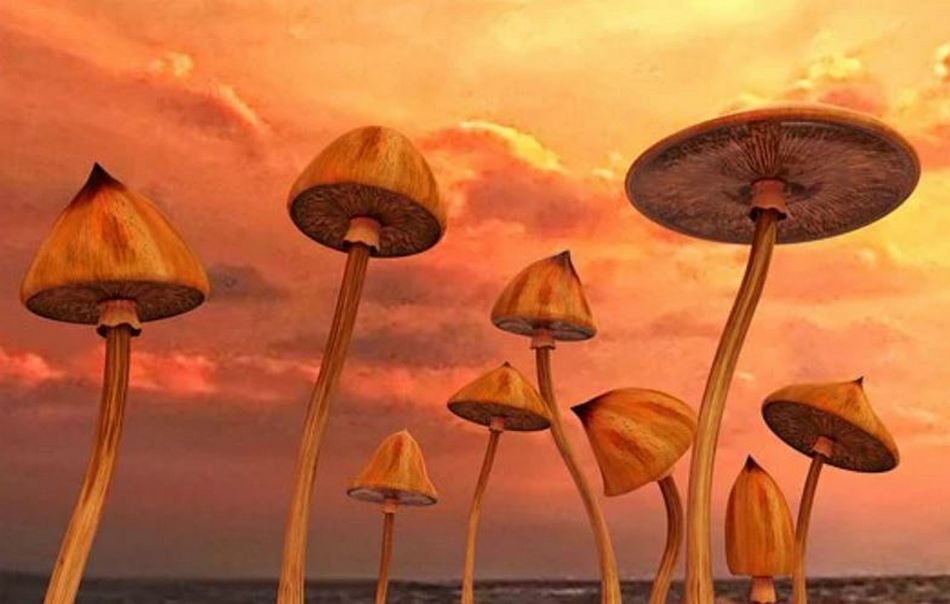 ಚಂದ್ರು ಎಂ ಹುಣಸೂರು ಬರೆದ ಹೊಸ ಕವಿತೆ