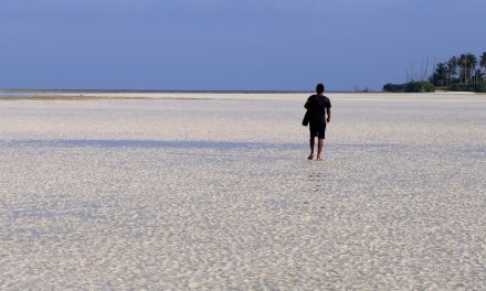ಸಿಂಹದ ಮೂಗ ತುದಿಯ ಸವರಿದ ತೆಂಗಿನ ತೋಪಿನವನ ಕಥೆ