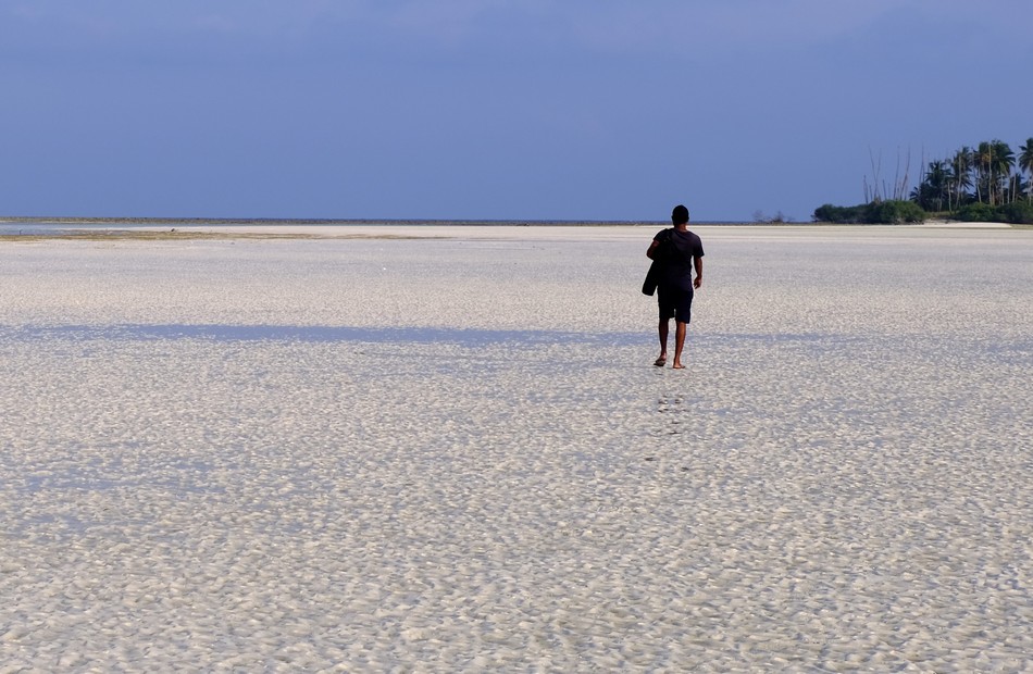 ಸಿಂಹದ ಮೂಗ ತುದಿಯ ಸವರಿದ ತೆಂಗಿನ ತೋಪಿನವನ ಕಥೆ