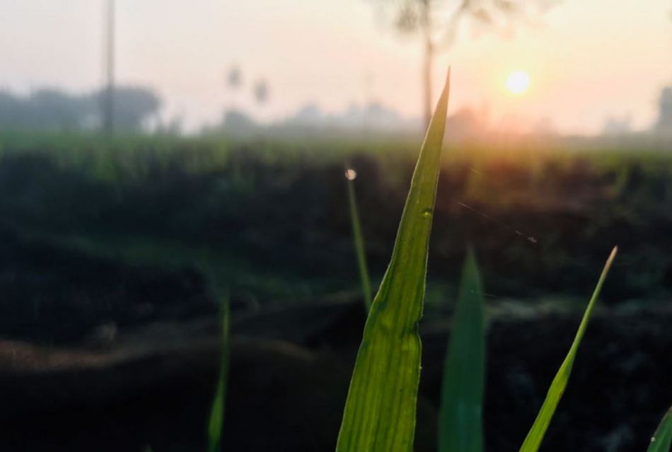 ರವಿಶಂಕರ ಪಾಟೀಲ ತೆಗೆದ ಈ ದಿನದ ಚಿತ್ರ