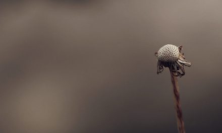 ಶರತ್ ಪಿ.ಕೆ. ಬರೆದ ಹೊಸ ಕವಿತೆ