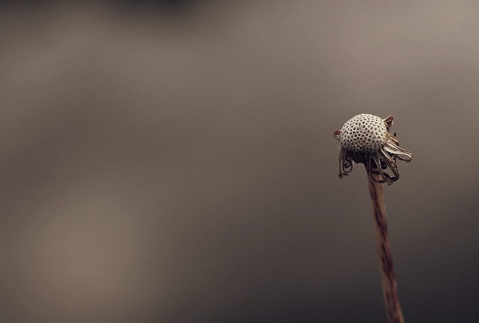 ಶರತ್ ಪಿ.ಕೆ. ಬರೆದ ಹೊಸ ಕವಿತೆ