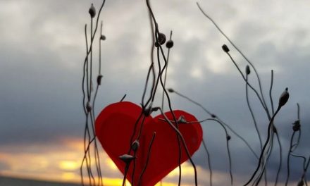 ಅಕ್ಷಯ ಪಾತ್ರೆ: ಕಾತ್ಯಾಯಿನಿ ಕುಂಜಿಬೆಟ್ಟು ಬರೆದ ಈ ದಿನದ ಕವಿತೆ