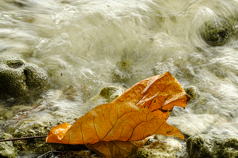 ಹುಡುಕುವ ಭರ, ಕಳೆದುಹೋಗುವ ಭಯ: ಪ್ರಶಾಂತ್‌ ಬೀಚಿ ಅಂಕಣ