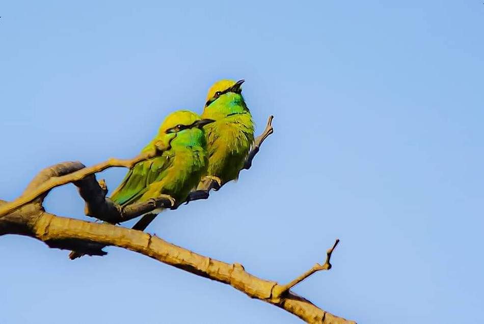 ಗಗನ್‌ ಬೂಸ್ನೂರ್‌ ತೆಗೆದ ಈ ದಿನ ಚಿತ್ರ