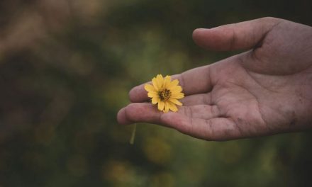 ಡಾ.ನಾ.ಮೊಗಸಾಲೆ ಬರೆದ ಈ ದಿನದ ಕವಿತೆ: ಮುತ್ತು