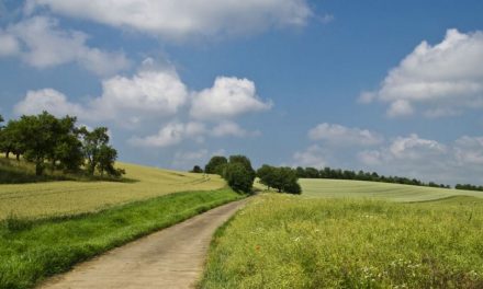 ರವಿ ಕುಮಾರ್‌ ಬರೆದ ಈ ದಿನದ ಕವಿತೆ