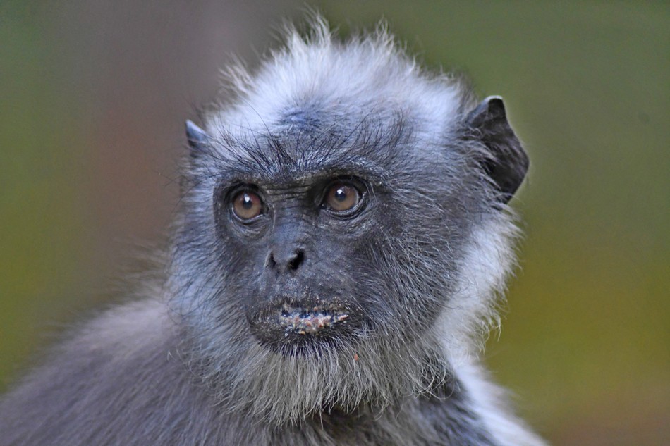 ಕೃಷ್ಣ ದೇವಾಂಗಮಠ ತೆಗೆದ ಈ ದಿನದ ಚಿತ್ರ