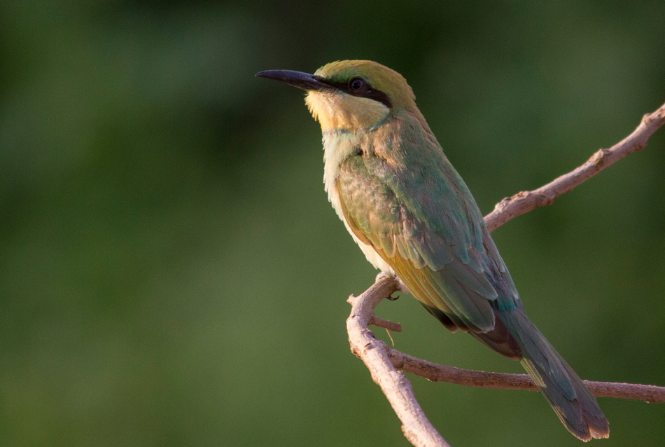 ವಿಶ್ವನಾಥ್ ಬಿ ಮಣ್ಣೆ ತೆಗೆದ ಈ ದಿನದ ಚಿತ್ರ