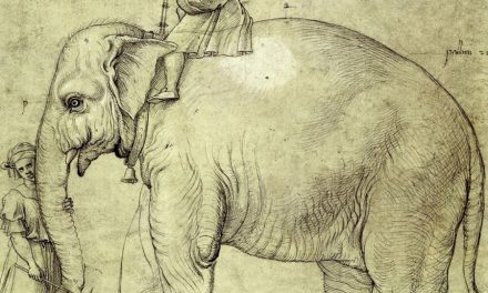 ‘ಆನೆಗೆ  ಬಂದ ಮಾನ’ ಶೇಷಾದ್ರಿ ಗಂಜೂರು ಹೊಸ ಸರಣಿ ಆರಂಭ