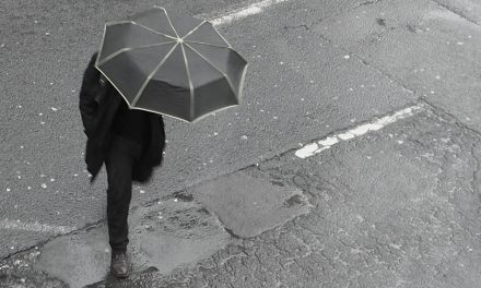 ಎಂ.ವಿ. ಶಶಿಭೂಷಣ ರಾಜು ಬರೆದ ಆಷಾಢ ಕವಿತೆ