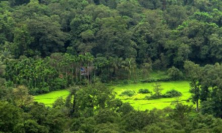 ಚೌಕಟ್ಟಿನೊಳಗೆ ಕೂತ ಒಂದು ಊರಿನ ಚಿತ್ರ