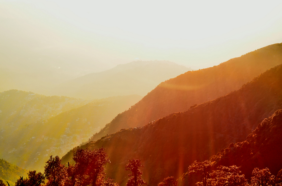 ಸಂಪತ್ ಕುಮಾರ್ ದುರ್ಗೋಜಿ ತೆಗೆದ ಈ ದಿನದ ಫೋಟೋ