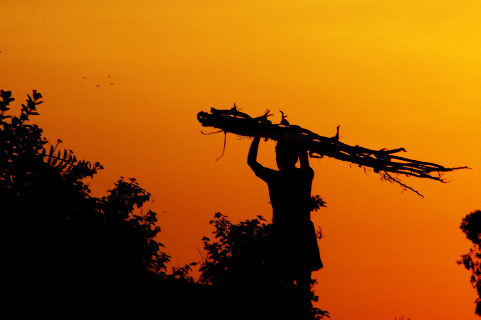 ಸಂಪತ್ ಕುಮಾರ್ ದುರ್ಗೋಜಿ ತೆಗೆದ ಈ ದಿನದ ಫೋಟೋ