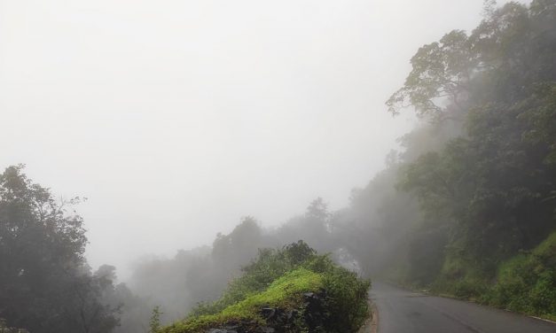 ಅಣಶಿ ಘಟ್ಟದ ಮೇಲಿನ ಹಾದಿ