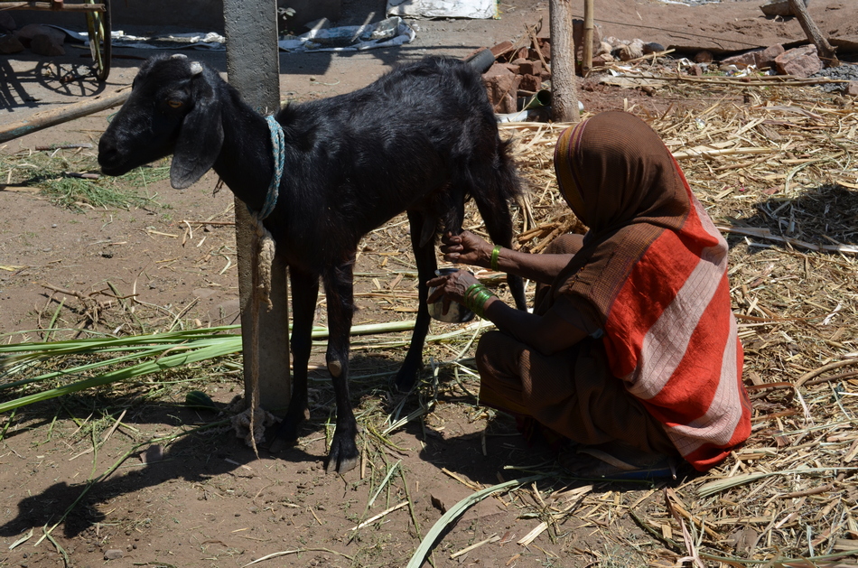 ಅಪ್ಪನ ಕೌಟುಂಬಿಕ ಅರ್ಥಶಾಸ್ತ್ರ