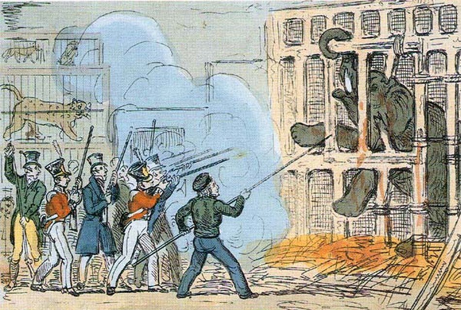 ಹಾಥಿ ಮತ್ತು ಚೂನಿ ಎಂಬ ಎರಡು ನತದೃಷ್ಟ ಆನೆಗಳ ಕಥೆ