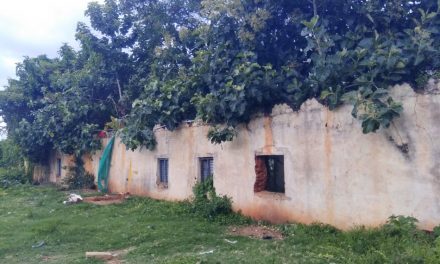 ನಾಟಕದ ಹೊಟ್ಟೆ ನೋವೂ ಮತ್ತು ತಪ್ಪಿದ ಹಾಜರಾತಿ