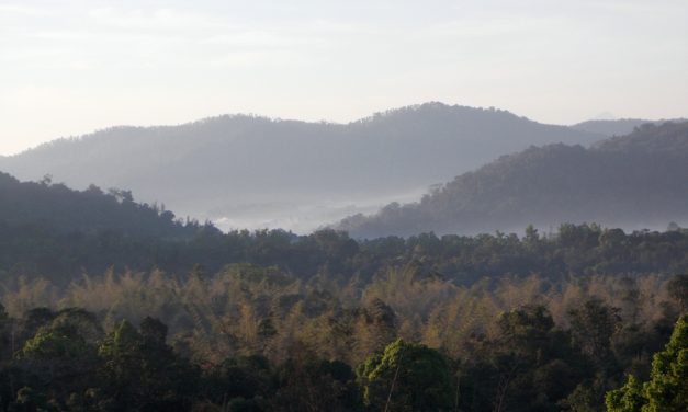 ಕವಿಶೈಲದ ಹುಲಿಯೂ ದೂರದ ಕುದುರೆಮುಖವೂ