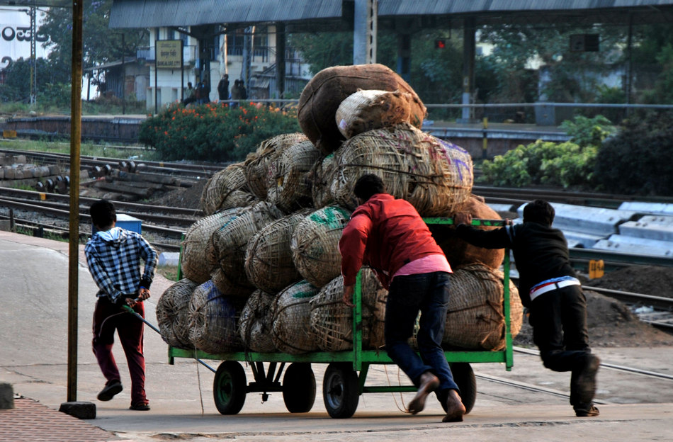 ಮಂಜುನಾಥ್‌ ಚಾಂದ್‌ ತೆಗೆದ ಈ ದಿನದ ಚಿತ್ರ