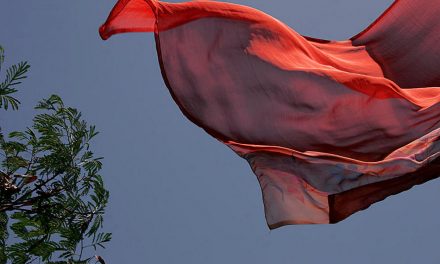 ಸೆರಗು: ನಾಗರಾಜ ಹರಪನಹಳ್ಳಿ ಬರೆದ ಕವಿತೆ