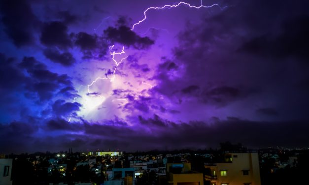 ಸುನಿಲ್ ಕುಮಾರ್ ಎಸ್. ತೆಗೆದ ಈ ದಿನದ ಚಿತ್ರ