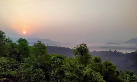 ಎಂ ಪೂರ್ವಿತಾ ತೆಗೆದ ಈ ದಿನದ ಫೋಟೋ