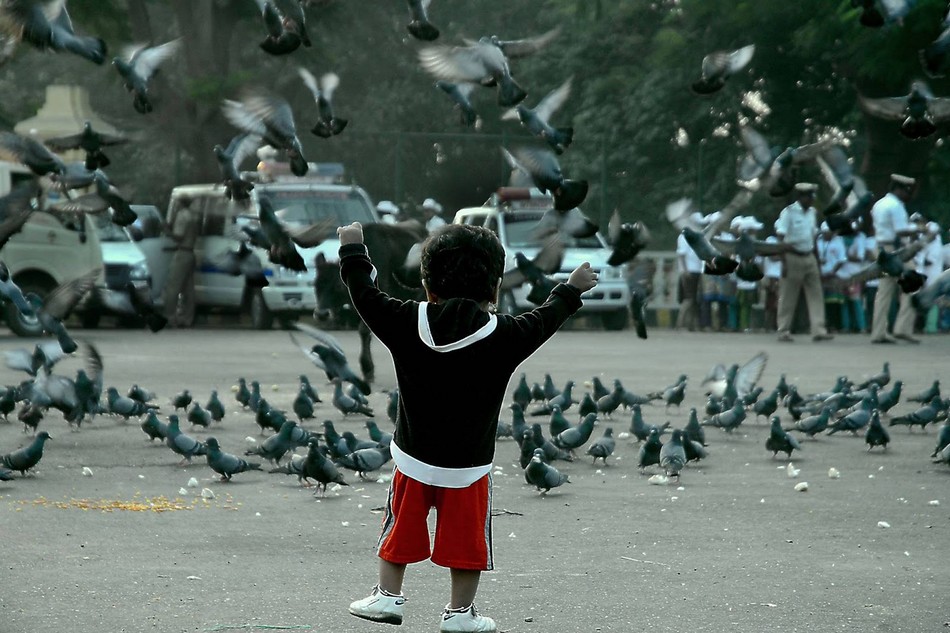 ಜಿ.ಕೆ. ಹೆಗಡೆ ತೆಗೆದ ಈ ದಿನದ ಫೋಟೋ