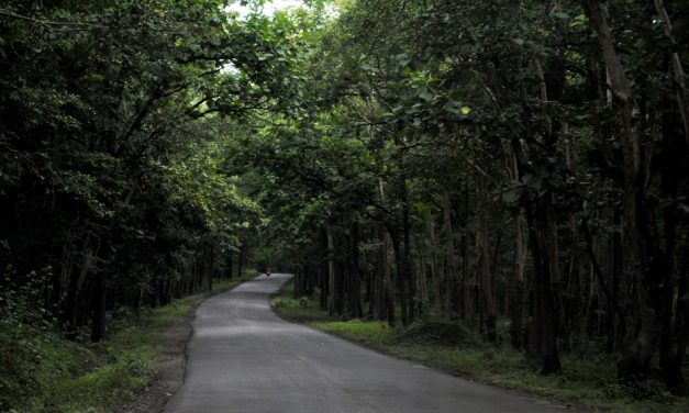 ಇರುಳಿನ ಹೊಸ ಬಣ್ಣ