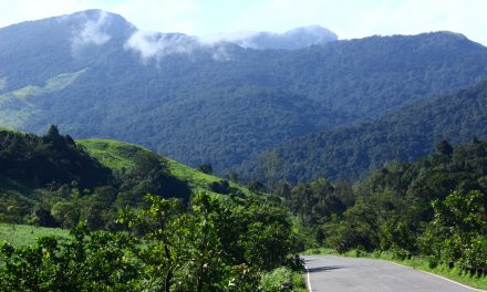 ಪೇರಳೆಯ ಸಿಹಿ ಕೊಡುವ ಕಾಡಿನೊಡಲ ಜೀವ