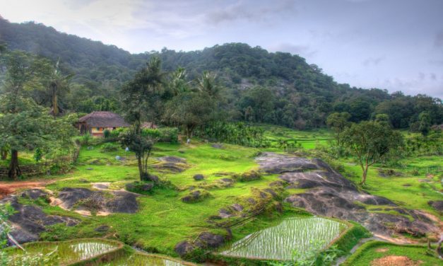 ದಿವಿಜ ಕೆ ಎನ್.  ತೆಗೆದ ಈ ದಿನದ ಫೋಟೋ