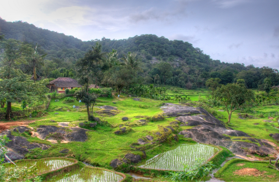 ದಿವಿಜ ಕೆ ಎನ್.  ತೆಗೆದ ಈ ದಿನದ ಫೋಟೋ