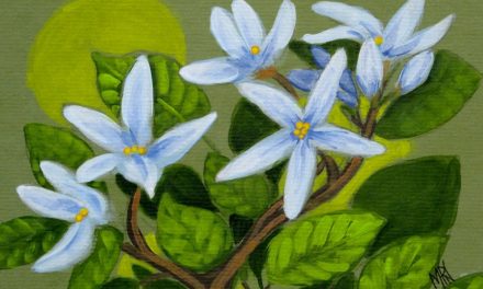 ಶಿವೈ ವೈಲೇಶ್ ಪಿ. ಎಸ್. ಕೊಡಗು ಬರೆದ ಈ ದಿನದ ಕವಿತೆ