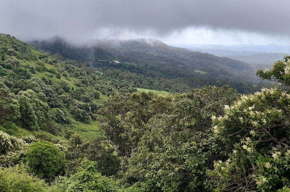 ಮತ್ತೊಂದು ಜನಪದವನ್ನು ಗೌರವಿಸುವ ವಿನಯಶೀಲತೆಗೆ ಕಾಯುತ್ತಾ..