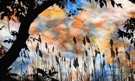 ಡಾ. ನಾ. ಮೊಗಸಾಲೆ ಬರೆದ ಕವಿತೆ