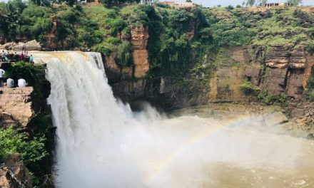 ರವಿಶಂಕರ ಪಾಟೀಲ ತೆಗೆದ ಈ ದಿನದ ಫೋಟೋ