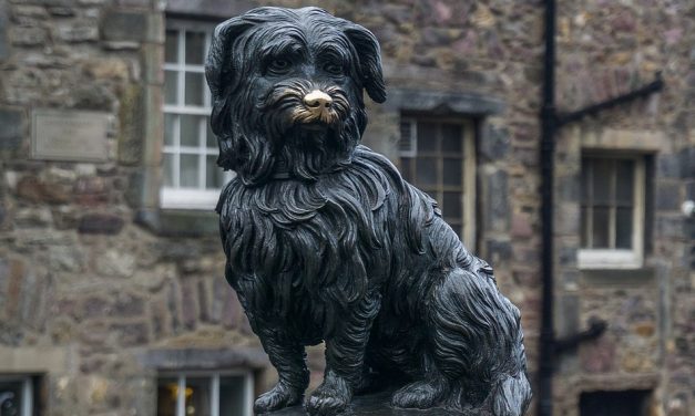 ಬಾಬ್ಬಿ ಎಂಬ ಪ್ರೇಮದ ಕುರುಹನ್ನು ಹುಡುಕಿಕೊಂಡು…