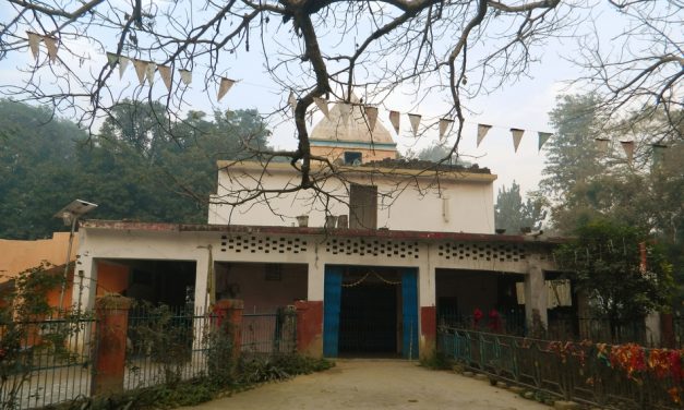 ಶ್ರೀಕೃಷ್ಣ ದೇವರು ತಂದ ಪಾರಿಜಾತದ ಗಿಡವಿದು